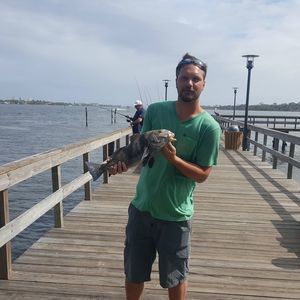 Meet your Posher, Kirk